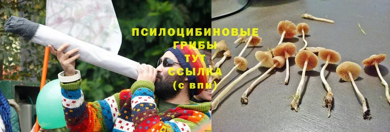 Псилоцибиновые грибы MAGIC MUSHROOMS  Костомукша 