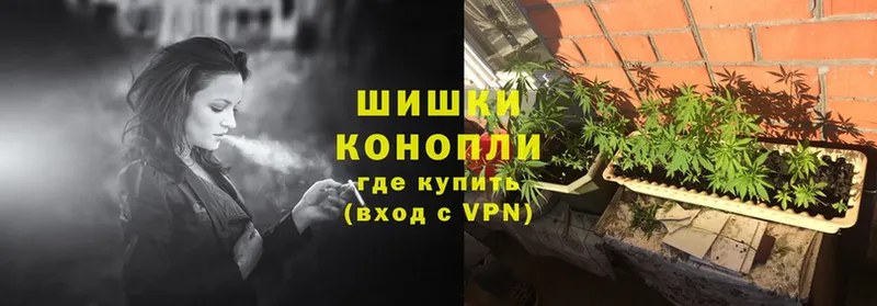 Бошки марихуана OG Kush  Костомукша 